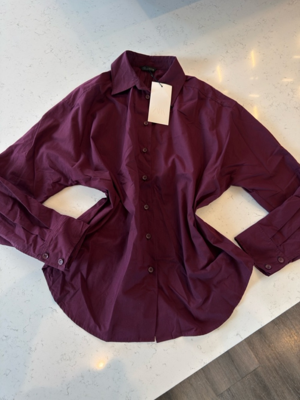 Zara Men's Button-Down Shirt in Plum
